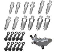 10 Pcs Tornillos de Purga para Frenos de Motocicleta con Tapas Antipolvo, Tornillo Pinza de Freno, Banjo Perno Purga Tornillo, Incluye M6 x 1mm, M7 x 1mm, M8 x 1.25mm, M10 x 1mm y 1.25mm para Frenos