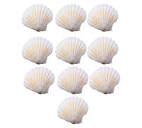 10 piezas de conchas naturales de vieiras para proyectos de manualidades elegantes y accesorios de joyería portátiles para hornear