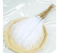 10 piezas de hierba de las pampas de 45 cm para decoración de boda, accesorios para el hogar, dormitorio, guía de boda, fotos, 10 piezas, color blanco