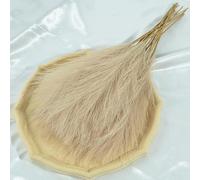 10 piezas de hierba de las pampas de 45 cm para decoración de boda, accesorios para el hogar, dormitorio, guía de boda, foto, 10 unidades, color marrón claro