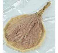 10 piezas de hierba de las pampas de 45 cm para decoración de boda, accesorios para el hogar, dormitorio, guía de boda, foto, 10 piezas, marrón oscuro