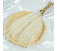 10 piezas de hierba de las pampas de 45 cm para decoración de boda, accesorios para el hogar, dormitorio, guía de boda, foto, 10 unidades, color beige