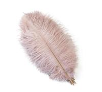 10 piezas de plumas de avestruz para manualidades, decoración, bricolaje, accesorios para fiestas, 15-40 cm, cuero rosa, 15-20 cm