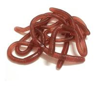 10 Piezas Lombriz Biónica Artificial - Señuelos de Pesca Blandos de Silicona, Gusanos de Plástico Realistas, Juguete y Decoración Halloween, Accesorio para Pesca, Broma y Gag - Niños Adultos