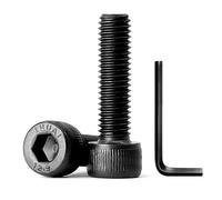 10 Piezas M8 x 30mm Tornillo Hexagonal Interior de Acero al Carbono de 12,9 Grados, Tornillos Cilíndricos con Hexágono Interior (con Llaves Allen)