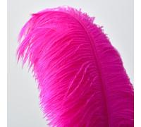 10 Piezas Plumas de Avestruz Naturales 10-12Inch (25-30cm), Plumas Grandes Para Decoración de Bodas en Casa, Manualidades, Jarrón de Plumas de Avestruz (Fucsia)