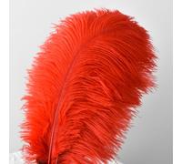10 Piezas Plumas de Avestruz Naturales 10-12Inch (25-30cm), Plumas Grandes Para Decoración de Bodas en Casa, Manualidades, Jarrón de Plumas de Avestruz (Rojo)