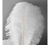 10 Piezas Plumas de Avestruz Naturales 10-12Inch (25-30cm), Plumas Grandes Para Decoración de Bodas en Casa, Manualidades, Jarrón de Plumas de Avestruz (Blanco)