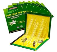 10 Piezas Trampas para Ratones y Ratas 31.5 CM x 21 CM Trampas Cucarachas | Pegamento Trampa Adhesivas Anti Cucarachas Profesional, Adhesivas Atrapar para Interior y Exterior