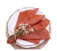 10 servilletas de Tela de algodón de Gasa Azul de 30 x 30 cm for Bodas, Fiestas, cumpleaños, manteles, mesas, Baby Showers y Navidad.(Terracotta)