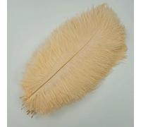 10 stuks/partij kleurrijke struisvogelveren voor kleding, knutselen, doe-het-zelf veerpluim, woondecoratie, tafeldecoratie, pluimen, vaasdecoratie, champagnekleur, 20-25 cm, 8-10 inc