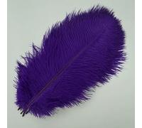 10 stuks/partij kleurrijke struisvogelveren voor kleding, knutselen, doe-het-zelf veerpluim, woondecoratie, tafeldecoratie, pluimen, vaasdecoratie, paars, 30-35 cm, 10-12 inch