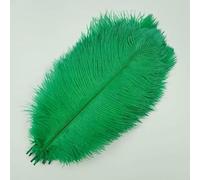 10 stuks/partij kleurrijke struisvogelveren voor kleding, knutselen, doe-het-zelf veren, pluimen, woondecoratie, tafeldecoratie, pluimen, vaasdecoratie, grasgroen, 50-55 cm, 20-22 in