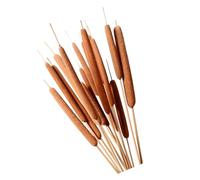 10 Tallos de totora Secos Naturales de 50 a 60 cm de, Hierba de totora prensada y Seca para decoración Floral, arreglos de Boda, Flores de Seda realistas