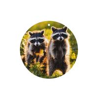 10 tarjetas ambientadoras de coche con estampado de mapache para hojas colgantes perfumadas para baño con cuerda