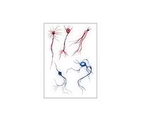 10 tatuajes de células vasculares de simulación oscura europea y línea simple, tatuajes desechables impermeables for el sudor, ancho x largo (105 mm x 148 mm)(F058)