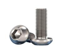 10 tornillos hexagonales de cabeza plana de titanio TA2 ISO7380 Gr2, pernos redondos puros M2-M6(10mm,M2 (10Pcs))