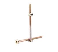 10 tornillos M6 de acero al carbono con hexágono interior para muebles, Belén con tuercas cilíndricas, tuerca de anclaje, elemento de conexión, multiusos, paquete Socialme-E (100 mm)