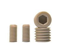 10 Uds M3 - M16 Peek plástico Nylon aislado hexágono conjunto tornillo sin cabeza(M5X11)