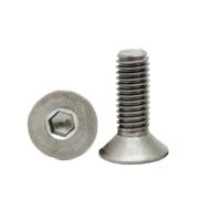 10 Uds Tornillo De Titanio DIN7991 M2M2.5M3 M4 TA2 Gr2 Máquina Cabeza Avellanada Hexagonal Plana(40mm,M2.5 10pcs)