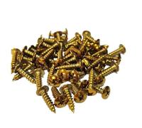 10 Uds tornillos autorroscantes de cabeza redonda Phillips M4 M5 201 tornillos de sujeción coloridos de acero inoxidable M4x16 M5x16(LS15-Gold-10pcs,M5x16mm)