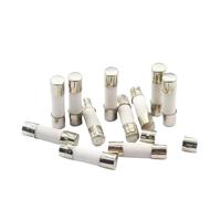 10 unidades/lote Fusibles tubulares de acción rápida de 5 x 20 mm y 6 x 30 mm, 250 V, 0,5 A, 1 A, 2 A, 3 A, 4 A, 5 A, 6 A, 6,3 A, 8 A, 10 A, 15 A, 20 A, 25 A, 30 A, fusibles cerámicos(0.3A,5X20mm)