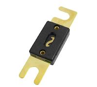 10 unids/lote Car Stereo Audio ANL Fusible chapado en oro 30 A -300 A