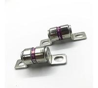 10 unids/lote fusible de cerámica RGS11 10A 16A 20A 25A 30A 32A 35A 40A 50A 63A 75A 80A 100A 125A 150A 160A 250V(16A)