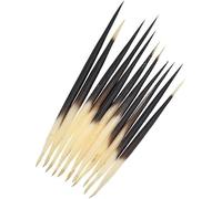 10 x Puntas de pelo de puercoespín indio para manualidades, boya de pesca, kit de costura DIY