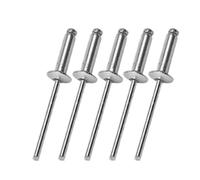 100/60/40/20 piezas Remaches de expansión de aluminio de brida grande, Kit de fijación de remaches ciegos con accionamiento de martillo for instalación y reparación de Hardware(40PCS,4.8x16mm)