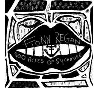 100 Acres of Sycamore by Fionn Regan (2012-02-21)