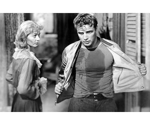 100 ans de Warner - Coffret 25 films - Volume 1 : Grands Classiques [Francia] [Blu-ray]