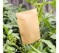 100 bolsas de papel para organizar objetos pequeños, recuerdos de boda, fiestas de cumpleaños, baby showers, joyas, botones, manualidades