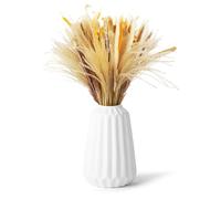 100 Bouquet di erba di Pampas Secas Decoracion, Flores Secas Decoracion, Pampas Secas Decoracion,Adatti per composizioni nuziali, decorazioni da tavola, Case in Stile Country e Feste di Natale