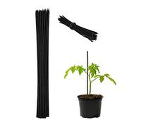 100 Cañas Bambú, 30x0,5 cm, Soporte Plantas Jóvenes, Alambre de Sujeción, Palos Jardín, Negro