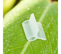 100 clips de injerto de plástico transparente para injerto de verduras, soporta procesos de entrenamiento de tallo de tomate, pepino y vid (4 mm)