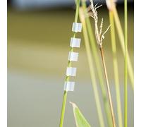 100 clips de injerto de plástico transparente para plantas, utilizados en entrenamiento de vid de tomate, pepino, ayuda de injerto para proyectos de horticultura y jardinería en el hogar (2 mm)