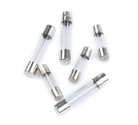 100 fusibles de acción rápida de 30 A, 250 V, 6 mm x 30 mm