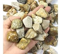 100 g 15-40 mm Piedra de jade de coral natural Crisantemo Piedra Grava Piedra Original Paisajismo Piedra Decorativa Adornos de Piedra Mineral