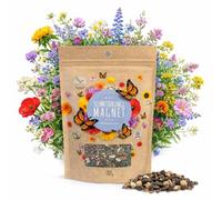100 g de semillas de prado de mariposas para un prado de flores coloridas - Mezcla de semillas de flores silvestres coloridas y ricas en néctar para mariposas
