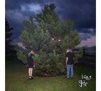 100 gecs 1 ecs (Vinyl) (Importación USA)