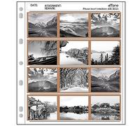 100 hojas de almacenamiento eTone para archivar 120 conservadores de páginas negativas (100 x 120)