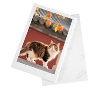 100 Hojas Papel Fotográfico 10x15, Papel Fotográfico Brillante A6, 180 g/m², Colores Vibrantes Y Alto Contraste, Para Todas Las Impresoras De Inyección De Tinta