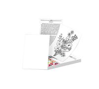 100 Hojas para Papel Térmico Phomemo A4 M08F, Papel Térmico Continuo de Secado Rápido, Documentos, Notas de Estudio