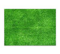 100 manteles de mesa con imagen césped I DIN A3 cuadrado I fan de fútbol articulo para fans naturaleza prado | mantel de mesa desechable I dv_331