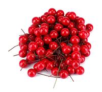 100 Pack Artificial Holly Berry Pieces | Realistic Red Picks Transform Holiday Mood | Bendable Wire Stems for Christmas Tree/Wreath/DIY | Non - Fading Foam, 2.4 Inches