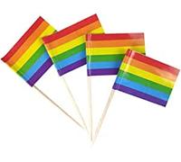 100 palillos de dientes con bandera gay del orgullo arcoíris, banderas para cupcakes, decoración de cócteles, alimentos, bares, pasteles, frutas (arcoíris)