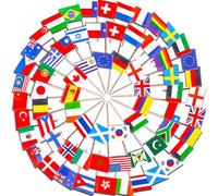 100 palillos de dientes internacionales con banderas de cóctel de doble cara, decoración europea, palillos de dientes pequeños, banderas del mundo, palillos de dientes para decoración de fiestas