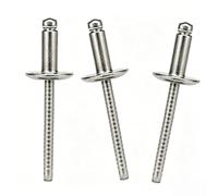 100 Pcs 316 Stainless Steel Blind Rivets, 6.4mm Open End Pop Rivets with Flat Dome Head for Metal, Furniture, Car, Ships, Motor Vehicles, Mechanical(6.4x16mm)