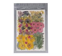 100 pcs kit de flores prensado secado belleza botánica flores secas de álbumes de recursos de ola de recursos de recursos que hacen adecuados para bricolaje